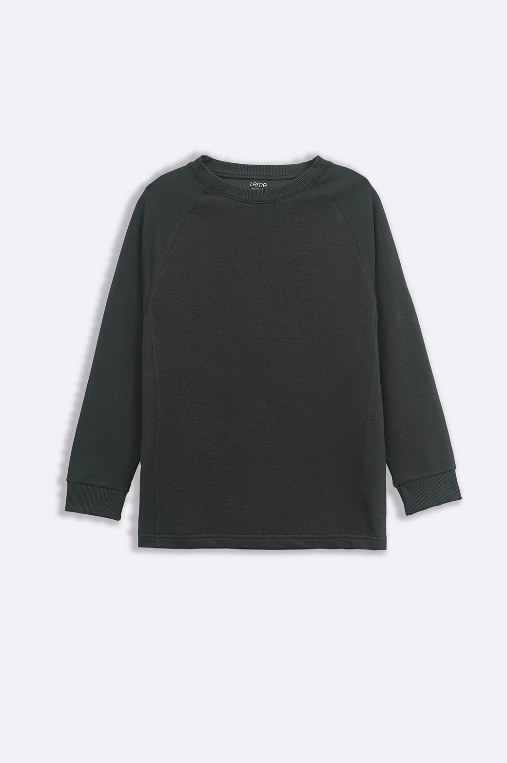 BASIC SWEATSHIRT - Image 5